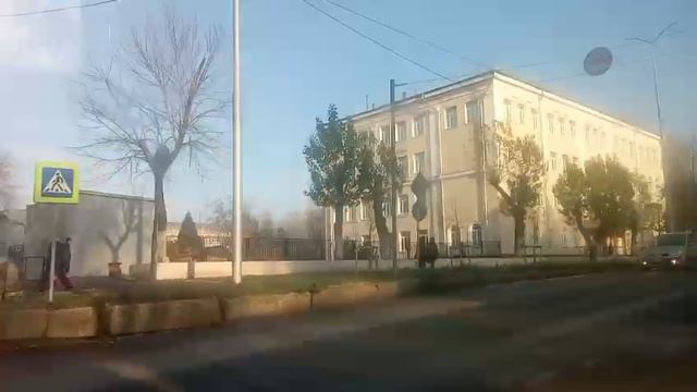 Думаете, пришла весна? Это конец ноября. Загадка природы, да?