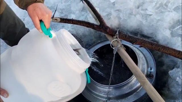 на щуку и тайменя живец чебак. Вывоз в хранилище. Река зея. Амурская область