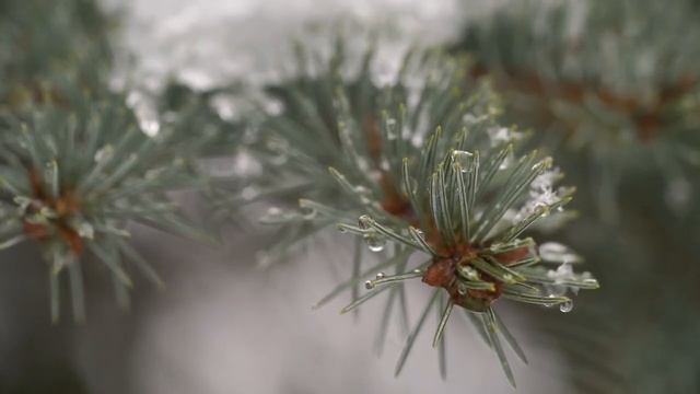 Лунная дверь откроется - Что сулит магия 26 ноября.