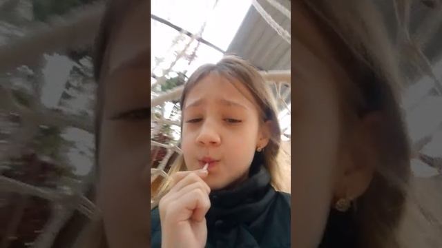 трансляция