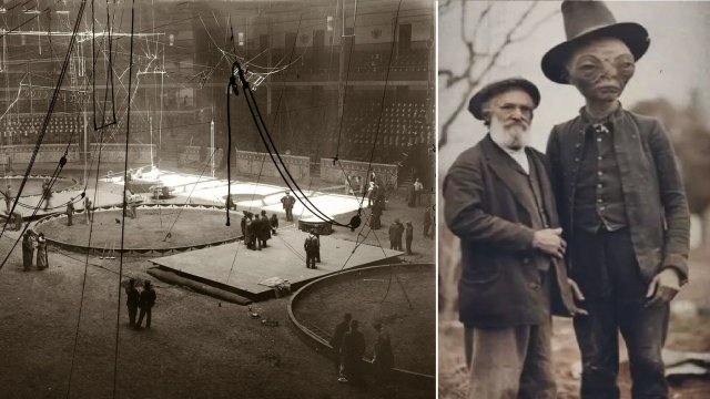 В 19 веке с бродячим цирком путешествовало существо  из другого мира