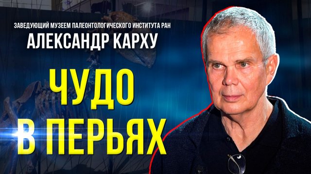 Кто с перьями, но не птица, и есть ли динозавры на Ямале