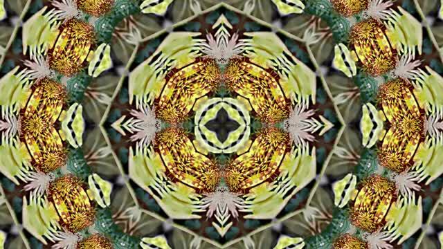 Видеофоны! Видеофон Осенняя цветочная фантазия 6 от Киностудии Мудрого Кота Тимофея!