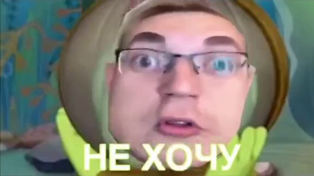 Гусеницы не любят учиться Леон долин