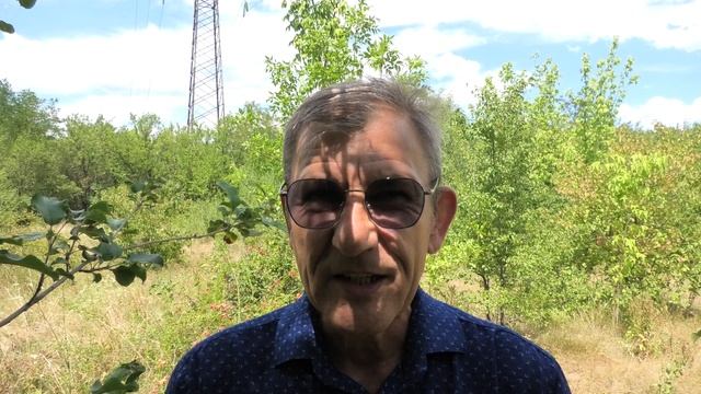 Уважаемые знатоки. Вопрос 1. Птицы на проводах...