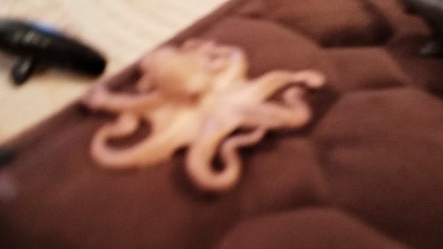 2часть морской мир отобрали свои же сокровища 💎🪙🪙💎