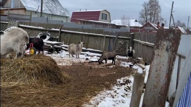 Открываем сезон зимней рыбалки