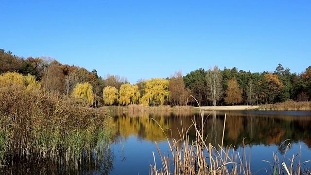 ДИН-ДОН (осенняя песня)