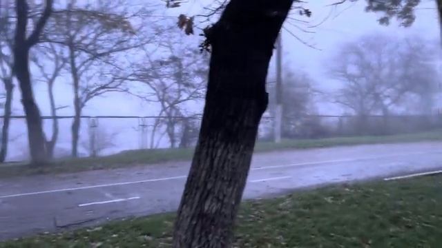 ОДЕССА 24 НОЯБРЯ 2025. В ЕС ИЩУТ АЛЬТЕРНАТИВУ РАЗВЕДКЕ США. РФ СТЯГИВАЕТ АРКТИЧЕСКИЕ ВОЙСКА!