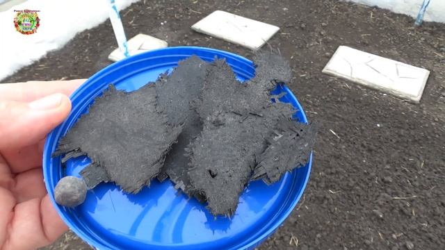 See The Secret That Makes Plants Grow Bigger!