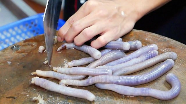 Инопланетно выглядящие морепродукты со всего мира!