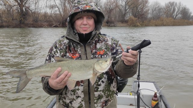 Астраханская область.МАКОВО .НОЯБРЬ 2025