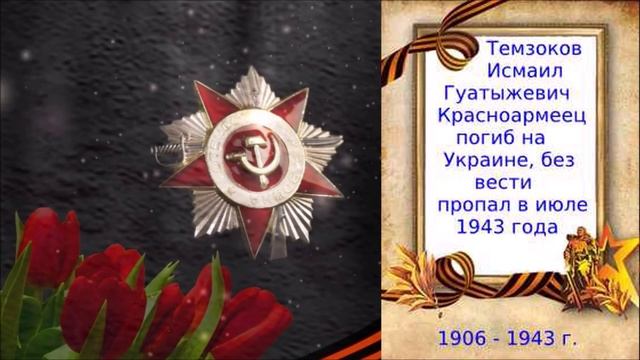 Ветераны ВОВ Темзоковы