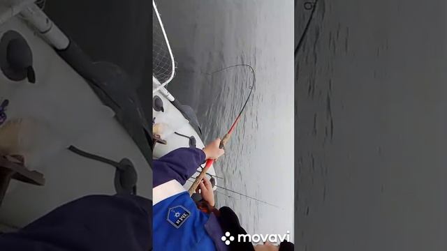 Сергей на Волге