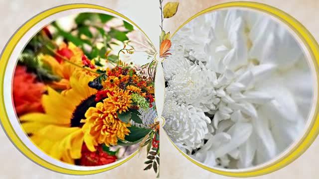 Осенние цветочные чудеса 4! Яркие осенние волшебные краски!!