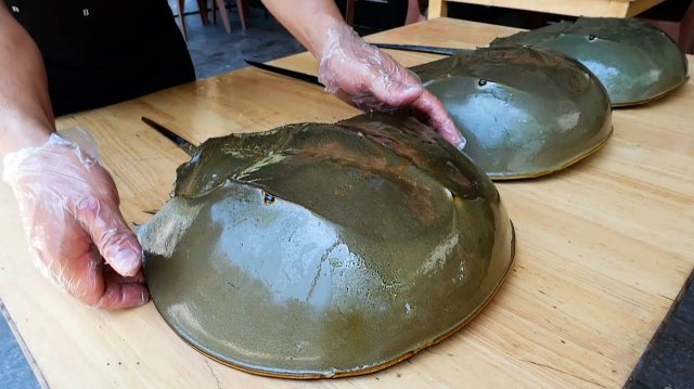 ГИГАНТСКИЙ КРАБ Вьетнамская уличная еда