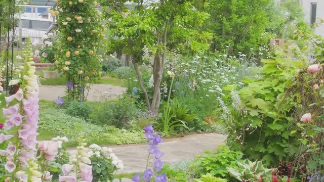 САДЫ ЯПОНИИ ЭЛЕГАНТНЫЕ САДЫС НЕЖНЫМИ ОТТЕНКАМИ  ЗАРИСОВКИ