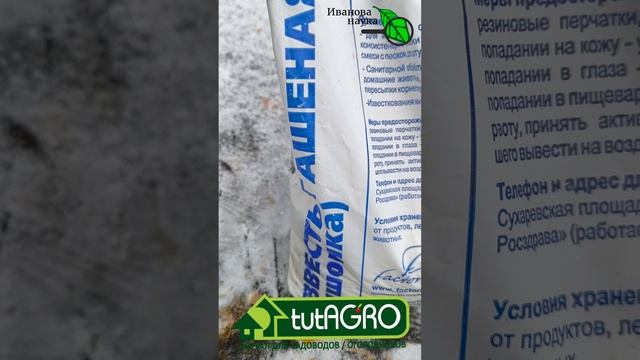 ЭТА ПЛОМБА вылечит любое дерево! Чудесное спасение любимых деревьев. Лечение без цемента.