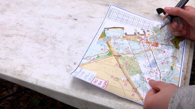 Соревнования по спортивному ориентированию