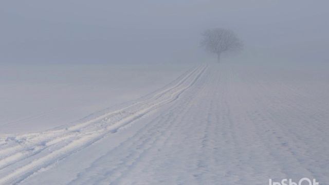 В поле метель