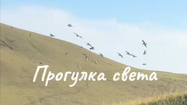 Медитативная практика Прогулка Света