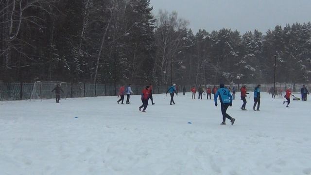 Товарищ 2-Домино 2.0 (моменты у левых ворот)