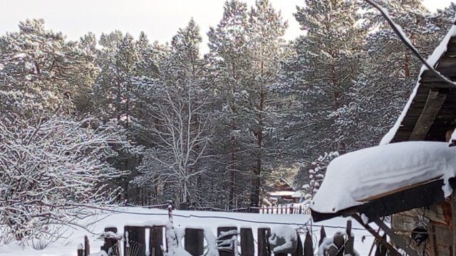 Сельские будни