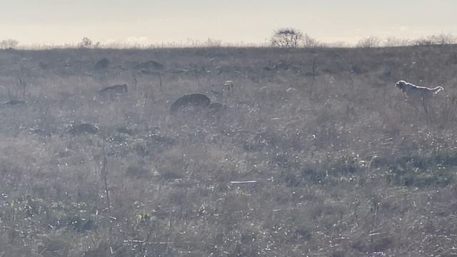 Федора. 25.11.25