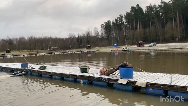 Запуск форели