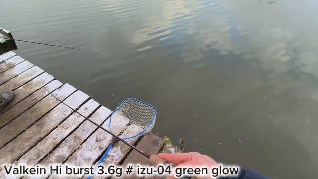 Бешеный клёв форели на Стрелецком ручье