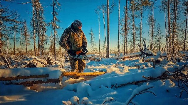ТАЙГА НЕ ЛЮБИТ ЛЕНИВЫХ. ПРОПИЛИЛ ТАЁЖНЫЕ ЗАВАЛЫ.