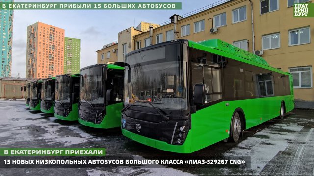 В Екатеринбург прибыли 15 больших автобусов.