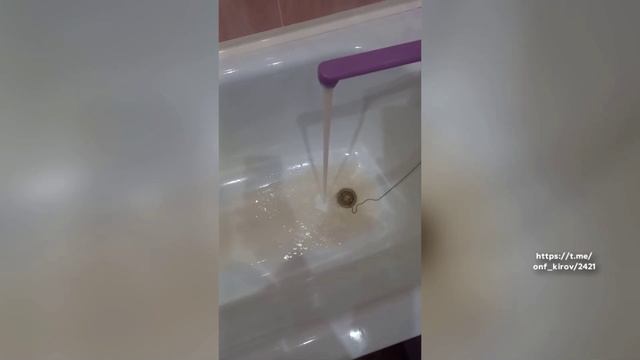 Новости Кирова 24.11.25