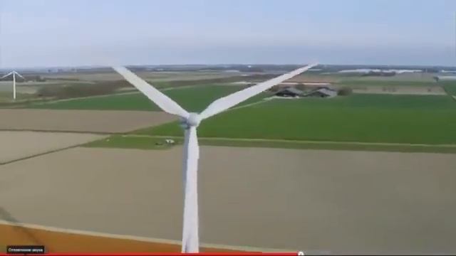 ШУМ чтобы ВАС ЛЮБИЛИ