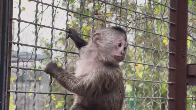 ПРОСТО ОБХОХОЧЕШЬСЯ! Анфиса ты когда-нибудь НАЕШЬСЯ)))