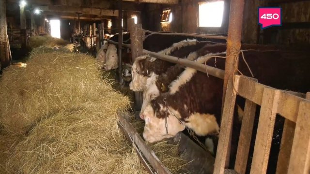 Из "нефтянки" в фермерство. Агрокурьер