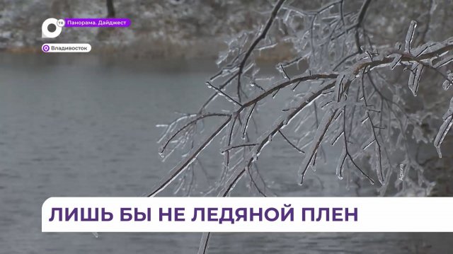 Синоптики и МЧС предупреждают о резком похолодании и сильных осадках в Приморье