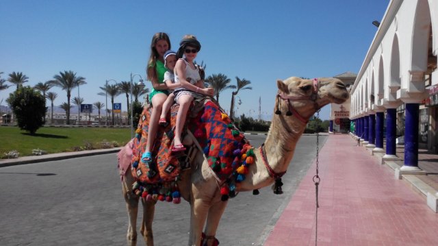2014 Sharm El Sheikh
