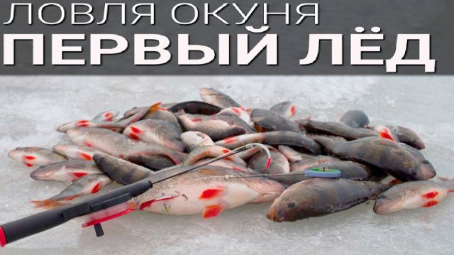 Зимняя Охота на Окуня: Лучшие Моменты и Крутейший Улов! 🎣❄️Зимняя рыбалка