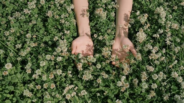 Красота в цветах