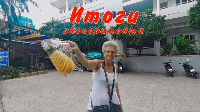 Дневник 24 Итоги эксперимента