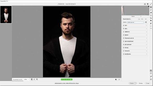 Ретушь мужского портрета. Проявка RAW