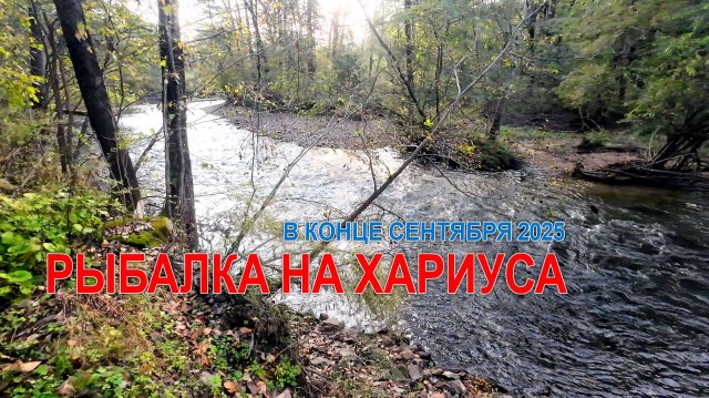 Рыбалка на хариуса в конце сентября 2025. На горной реке Приморского края. #хариус  #горнаярыбалка