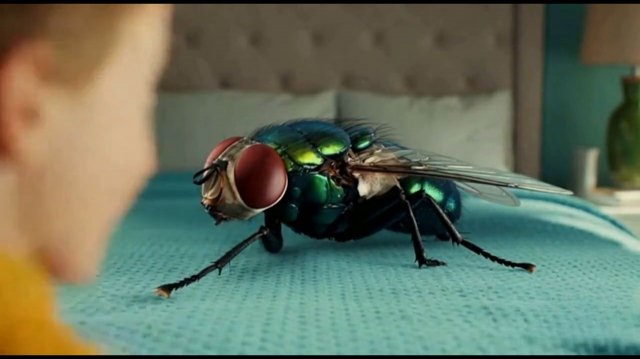 ГИГАНТСКИЕ ЖИВОТНЫЕ УЖЕ ДОМА!!🫨🫨🐕😾🪰🐁ТАКИЕ РАЗНЫЕ И ВСЕ ОГРОМНЫХ РАЗМЕРОВ! ЖМИ БЫСТРЕЕ!!