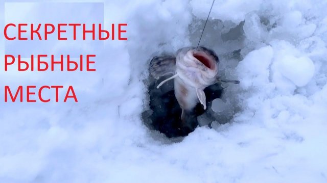 Зимняя рыбалка. Показываю Секретные Места. Рыба Клюёт как Сумасшедшая. Карта Секретных рыбных мест
