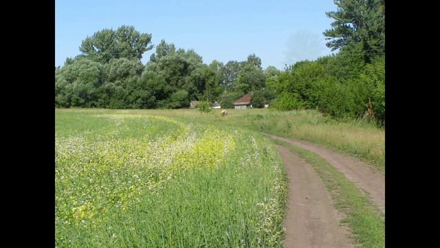ВОЗВРАЩЕНИЕ ДОМОЙ стихи Акиничева Юрия муз.и исп. сгенерировано SunoAl