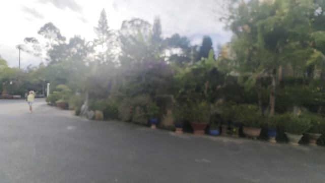 Далат-город "Вечной Весны"!