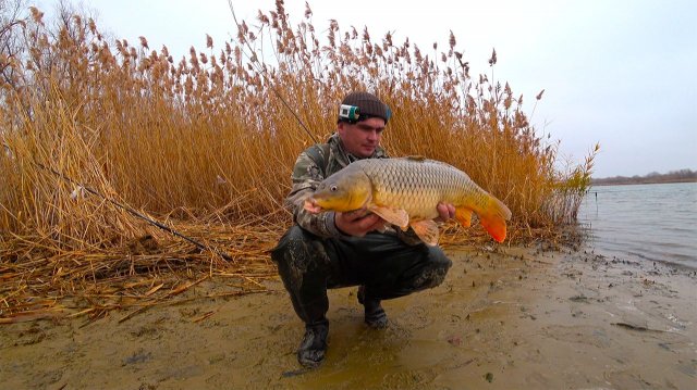 ПЯТЬ САЗАНОВ ЗА ДЕНЬ !!!! РЫБАЛКА С ЖЕНОЙ