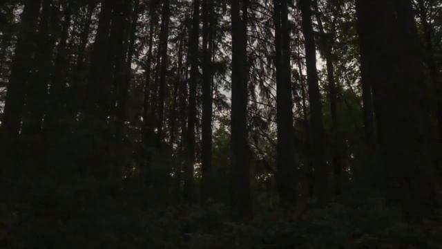 Погадай на лето автор и иполнитель Олег Сапегин