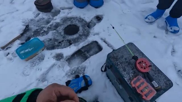 Щуки первого льда🎣. Открытие сезона на Бурейском водохранилище.